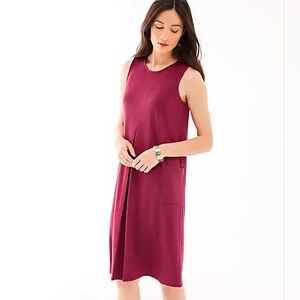 NWT J Jill Pink Sleeveless Dress Knit Minimalist Normcore Cozy Size Small Petite